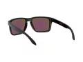Oakley Holbrook Xl Sonnenbrille OO 9417 21