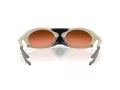 Oakley Plantaris Sonnenbrille OO 9437 02