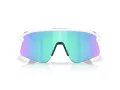 Oakley Stunt Devil Sonnenbrille OO 9517 04