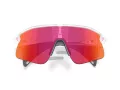 Oakley Stunt Devil Sonnenbrille OO 9517 10