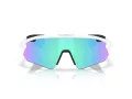 Oakley Stunt Devil A Sonnenbrille OO 9525 02