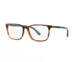 Polo Brillen PH 2234 5017