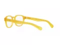 Polo Brillen PH 2261U 5005