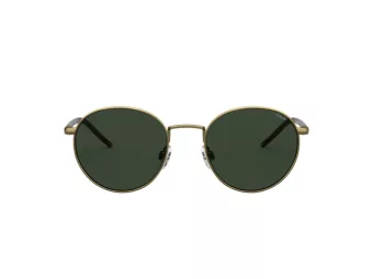 Polo Sonnenbrille PH 3133 9324/71