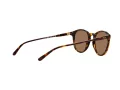 Polo Sonnenbrille PH 4110 5134/73