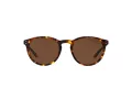 Polo Sonnenbrille PH 4110 5134/83