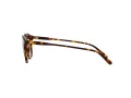 Polo Sonnenbrille PH 4110 5134/83