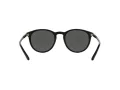 Polo Sonnenbrille PH 4110 5284/87