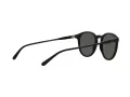 Polo Sonnenbrille PH 4110 5284/87