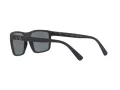 Polo Sonnenbrille PH 4133 5284/81