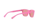 Polo Sonnenbrille PH 4167 5970/7V