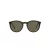 Polo Sonnenbrille PH 4183U 5057/3