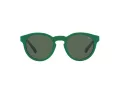 Polo Sonnenbrille PH 4184 6017/71