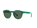 Polo Sonnenbrille PH 4184 6017/71
