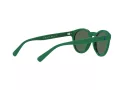 Polo Sonnenbrille PH 4184 6017/71