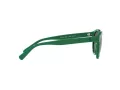 Polo Sonnenbrille PH 4184 6017/71