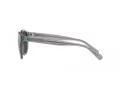 Polo Sonnenbrille PH 4192 541387