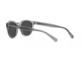 Polo Sonnenbrille PH 4192 541387