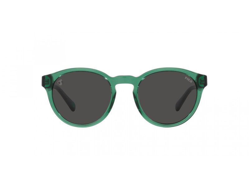 Polo Sonnenbrille PH 4192 608487