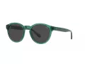 Polo Sonnenbrille PH 4192 608487