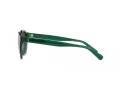 Polo Sonnenbrille PH 4192 608487