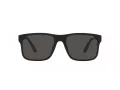 Polo Sonnenbrille PH 4195U 500187
