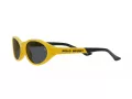 Polo Sonnenbrille PH 4197U 596187