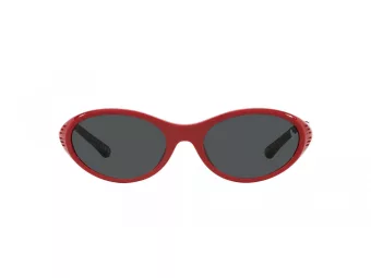 Polo Sonnenbrille PH 4197U 609187