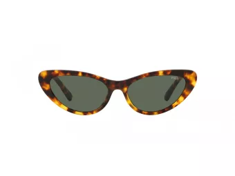 Polo Sonnenbrille PH 4199U 607871