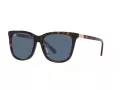 Polo Sonnenbrille PH 4201U 500380