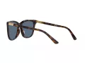 Polo Sonnenbrille PH 4201U 500380