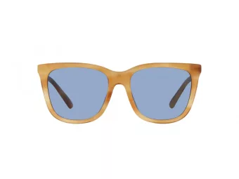 Polo Sonnenbrille PH 4201U 607972