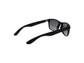 Polaroid Sonnenbrille PLD 1015/S DL5/LB