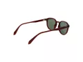 Polaroid Sonnenbrille PLD 4195/S QGL/UC