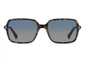 Polaroid Sonnenbrille PLD 6247/S 086/Z7
