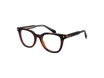 Polaroid Brillen PLD D473 864