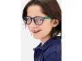 Polaroid Brillen PLD D814 RNB