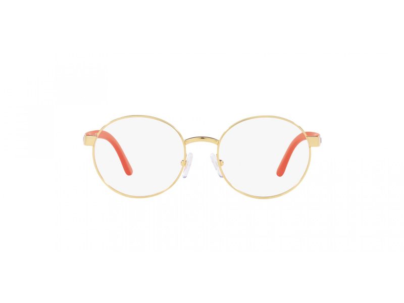 Polo Brillen PP 8041 9411