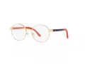 Polo Brillen PP 8041 9411