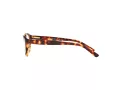 Polo Brillen PP 8526 1591