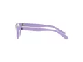 Polo Brillen PP 8543U 6018