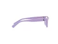 Polo Brillen PP 8543U 6018