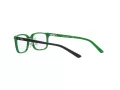 Polo Brillen PP 8545 5613