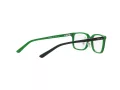 Polo Brillen PP 8545 5613