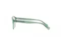 Polo Brillen PP 8546U 6099