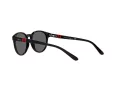 Polo Sonnenbrille PP 9502 5001/87