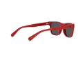 Polo Sonnenbrille PP 9504U 5257/87