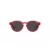 Polo Sonnenbrille PP 9505U 609787