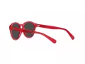 Polo Sonnenbrille PP 9505U 609787