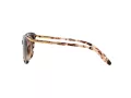 Ralph Sonnenbrille RA 5203 146313